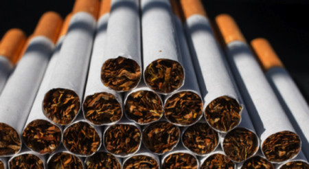 Парламентът прие на първо четене вчера криминализирането на нелегалното производство