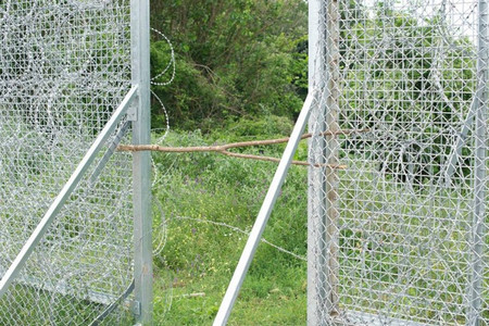 Не е вярно че в България няма закони Има си