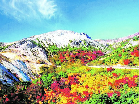 Д р Гео НешевГрехота е за чудото на българската природа