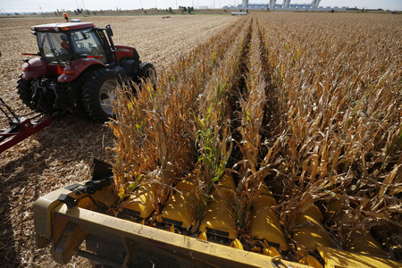 Доц Въто ХристовБългарският парламент често е упрекван основателно че приема