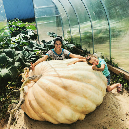 В руската столица разрязаха най голямата тиква Парчета от нея бяха