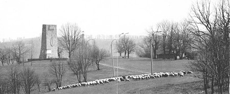 За Илинденско Преображенското въстание се пеят много песни Пели са ги