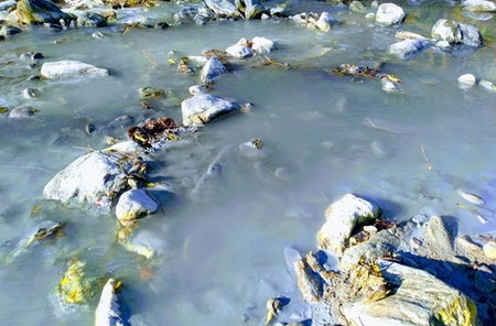 Риболовен клуб Балканка София алармира за неминуема екологична катастрофа която