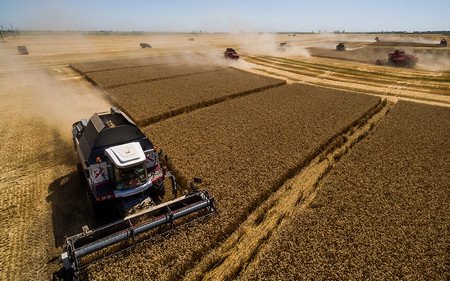 Наскоро в Уолстрийт джърнъл проплака че рекордната реколта и износ
