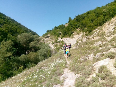 Ако сте любители на магичното и си падате по странни