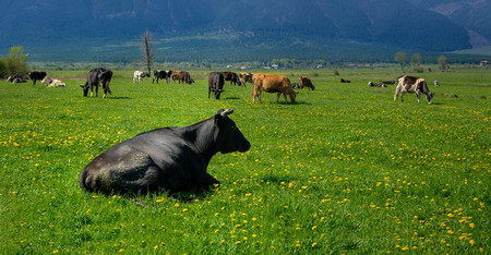 Доц Въто Христов Много добри думи могат да се кажат