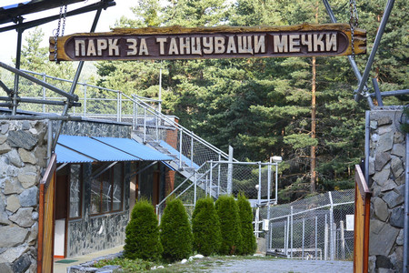 Как се пише любов попита Прасчо Тя