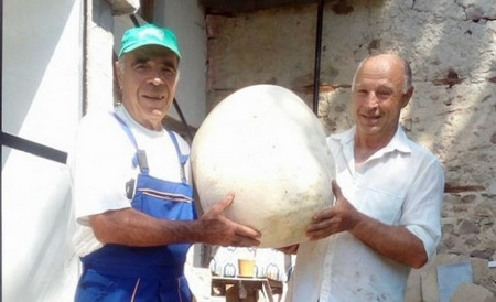 Пчелари от чепеларското село Орехово намериха гъба достойна за рекордите