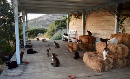 Заплата от 600 евро на месец се дават на човек